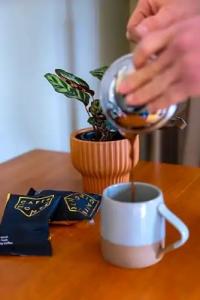 The Juniper & Bistro - 55