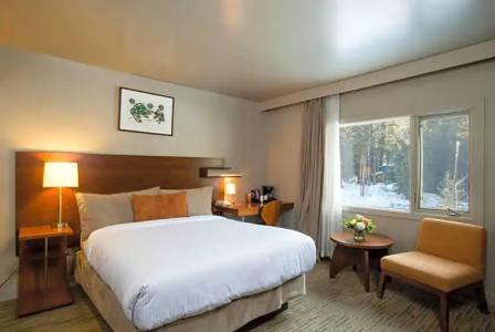 The Juniper & Bistro - 59