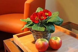 Hotel Brunneck, Schonau am Konigssee