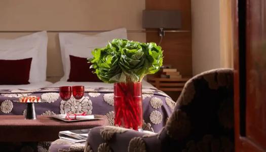 Divani Apollon Suites - 49