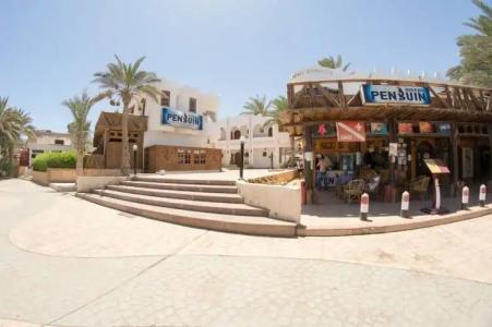 Penguin Village Dahab - 15