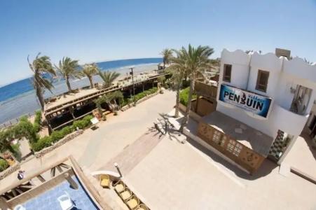 Penguin Village Dahab - 14