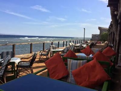 Penguin Village Dahab - 9