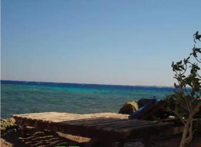 Penguin Village Dahab - 0