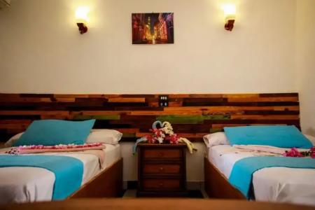 Penguin Village Dahab - 16