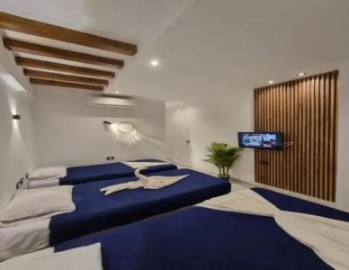 Penguin Village Dahab - 24