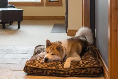 Nita Lake Lodge - 56