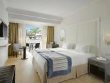 Superior Double room with balcony and with pool view