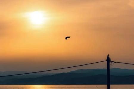 Athos Guest House Pansion - 67