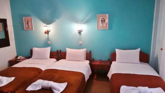 Athos Guest House Pansion - 16