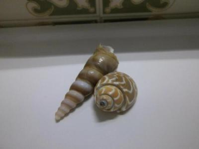 Athos Guest House Pansion - 35