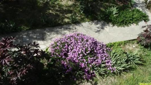 Athos Guest House Pansion - 19