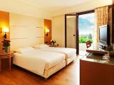 Deluxe Double room with garden view