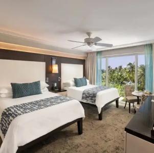 The Palms & Spa - 60