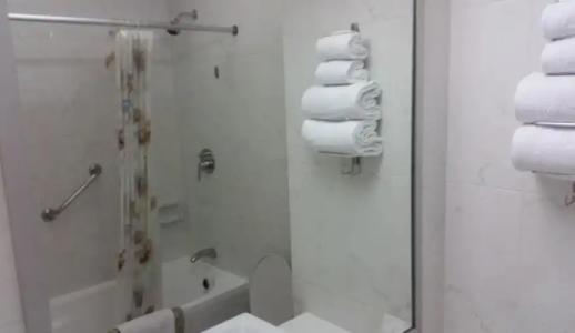 Ariston Bangkok - 110
