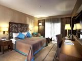 Superior Deluxe Double room