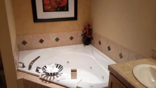 Icicle Village Resort - 7