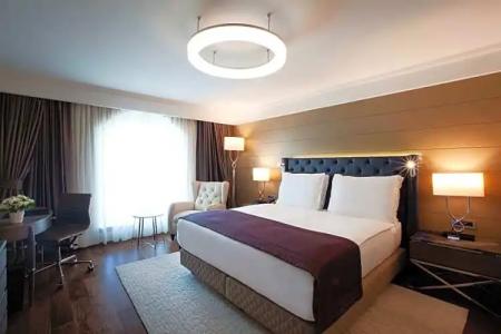 Radisson Blu, Istanbul Sisli - 101