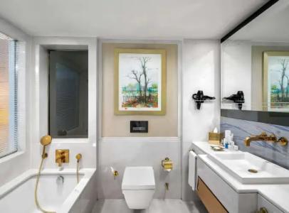 Radisson Blu, Istanbul Sisli - 146