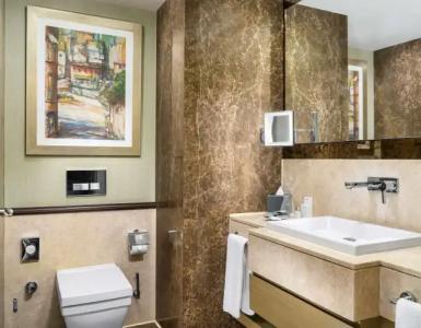 Radisson Blu, Istanbul Sisli - 111