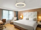 Presidential Double Suite with city view