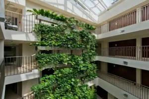 Amberton Green Apartments, Palanga