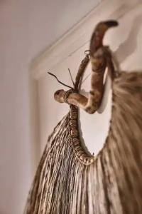 Capetan Giorgantas - 22