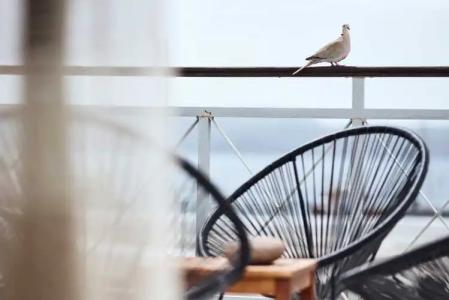 Capetan Giorgantas - 41