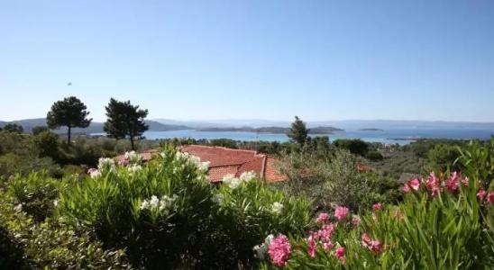 Elena Apartments & Studios - 7