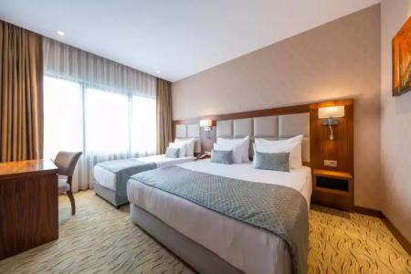 Clarion Istanbul Mahmutbey - 100