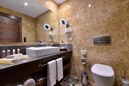 Clarion Istanbul Mahmutbey - 104