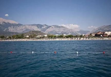 MG White Lilyum - 48