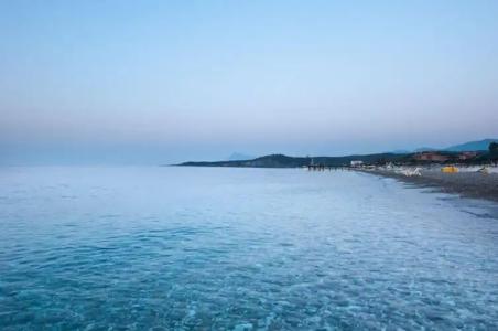 MG White Lilyum - 20