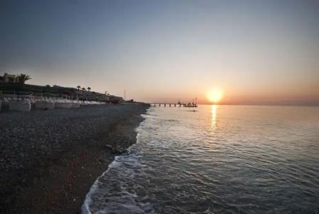 MG White Lilyum - 18