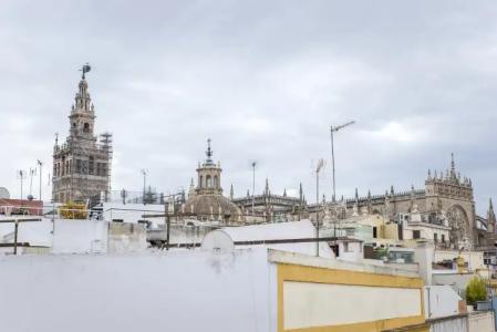 Petit Palace Marques Santa Ana - 22