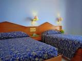 Standard Double room with balcony and with garden view