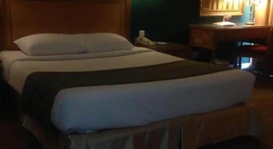 Amarante Pyramids - 17