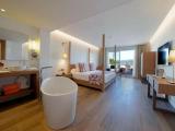 Premium Suite