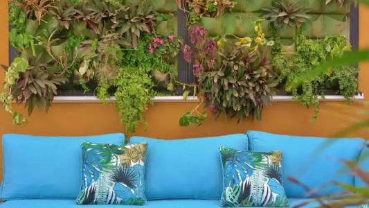 Bungalows Los Almendros - Exclusive Vacation Club - 1