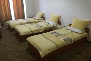 Fanti Hotel, Vidin