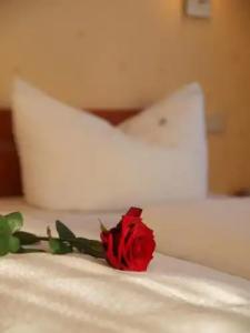 Altes Doktorhaus - Garni - 23