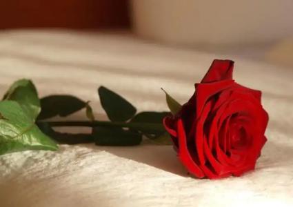 Altes Doktorhaus - Garni - 29