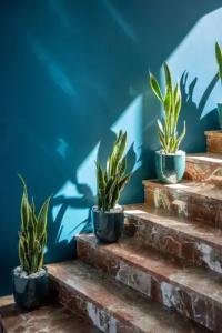 Ocean Drive Ibiza - 16