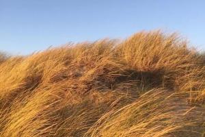 Haus Seeblick, Norderney