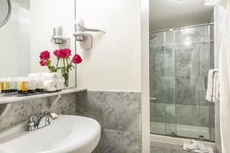 Warwick Allerton Chicago - 8