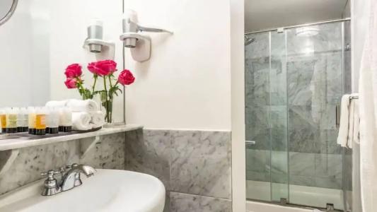 Warwick Allerton Chicago - 51