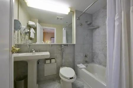 Warwick Allerton Chicago - 9