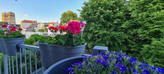 Cara Vita Cologne - 56