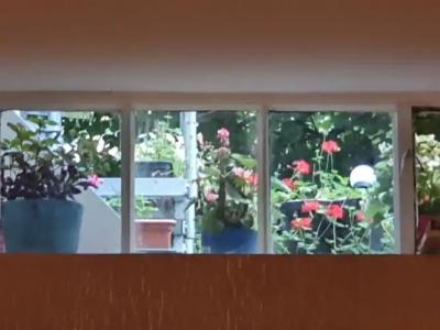 Cara Vita Cologne - 30