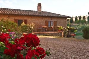Agriturismo La Buca di Bellugi, San Quirico d'Orcia